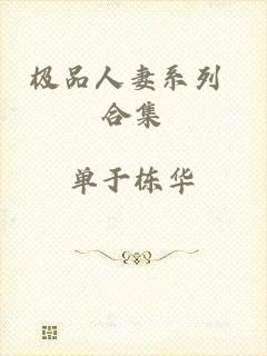 极品人妻系列 合集